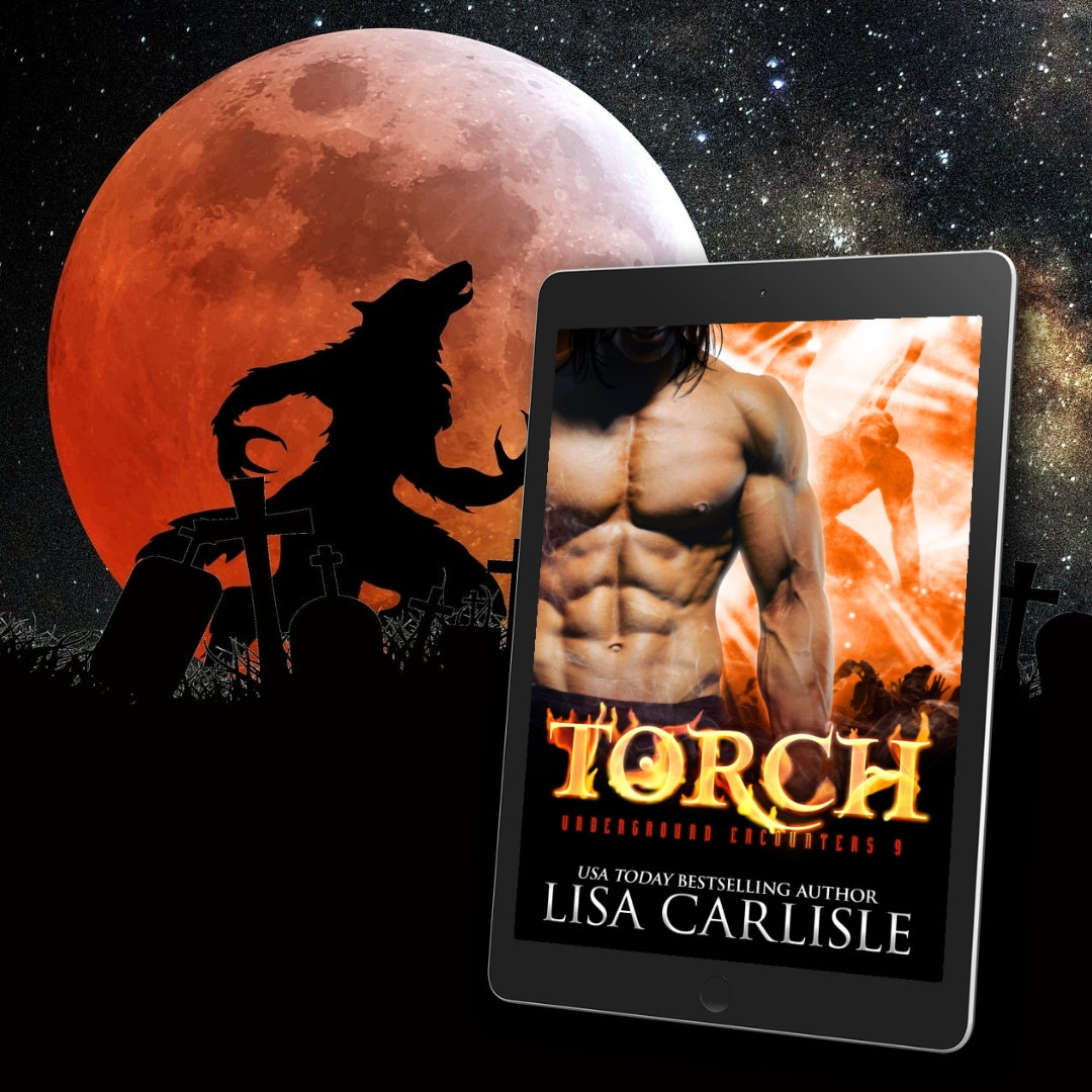 TORCH: a gargoyle shifter and werewolf romance