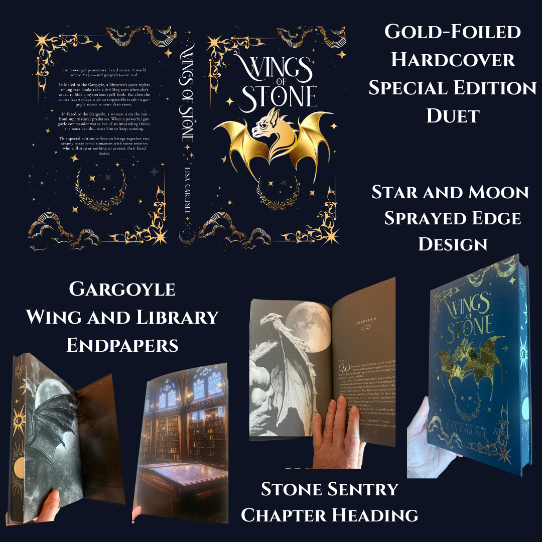 Wings of Stone book with gold-foiled hardcover and special edition design elements.